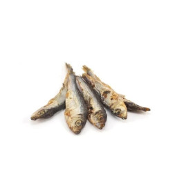 ANCHOIS NORVEGIENS SECHES