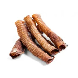 TRACHEE DE BOEUF