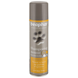 SHAMPOOING MOUSSE SANS...