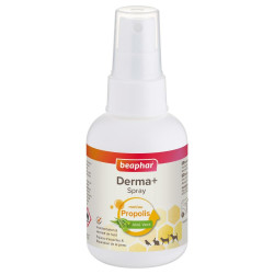 SPRAY DERMA + POUR PLAIES...