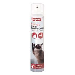 SPRAY ANTI GRIFFURE